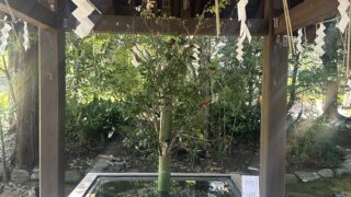 【東京都港区】氷川神社と東京大神宮が結んだご縁