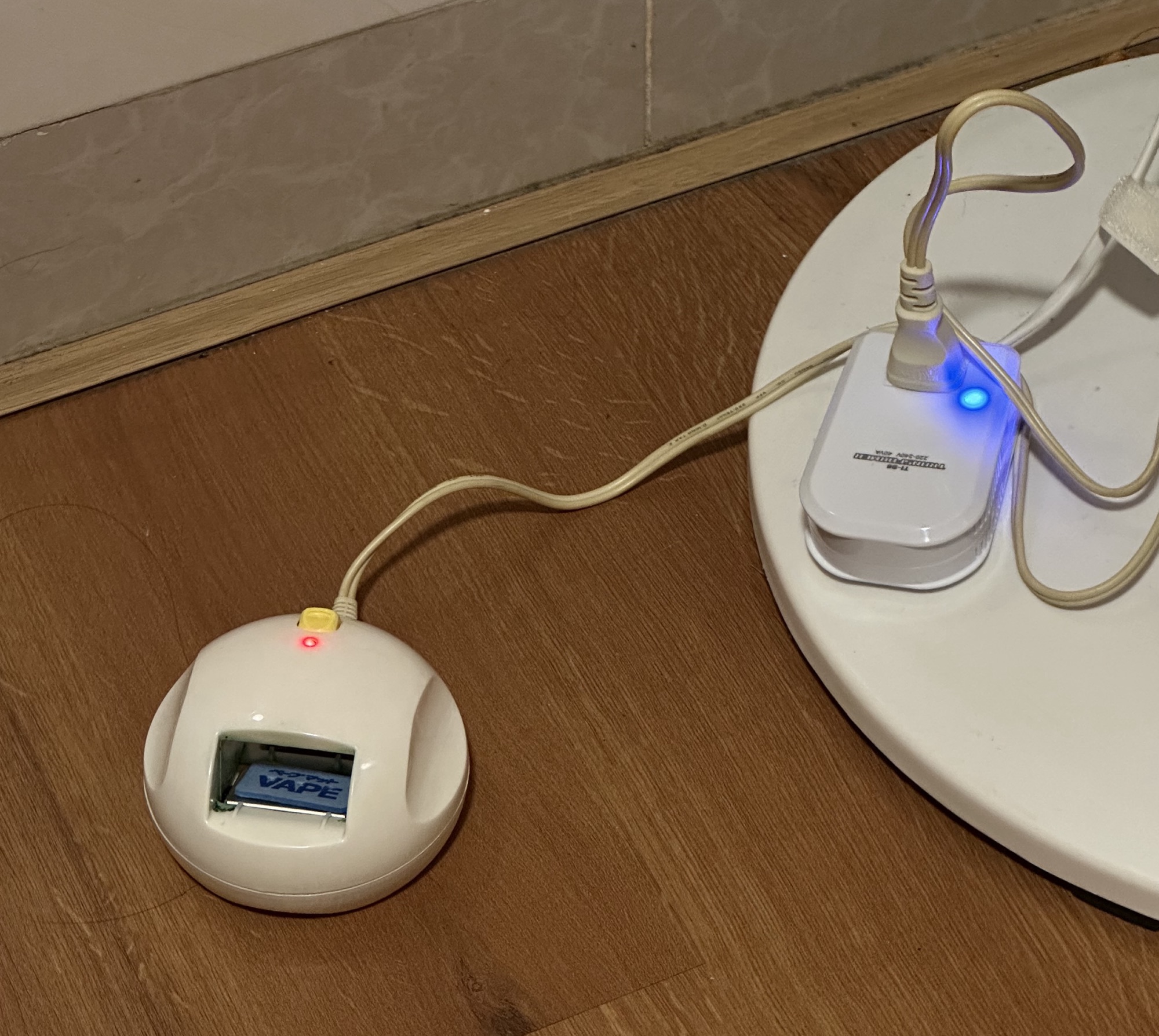 ベトナムの避暑地ダラット。1500円ホテルに泊まったら半地下でした（笑）