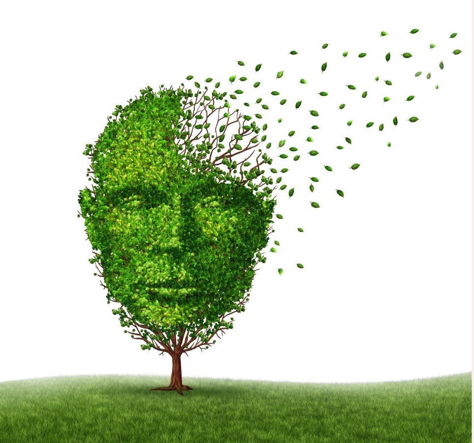 日曜日は、ワンオペ介護の日